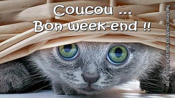 Image result for image bon week end