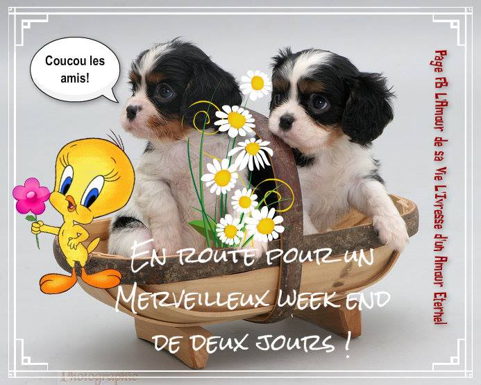 Coucou les amis! En route pour un merveilleux week end de deux jours !