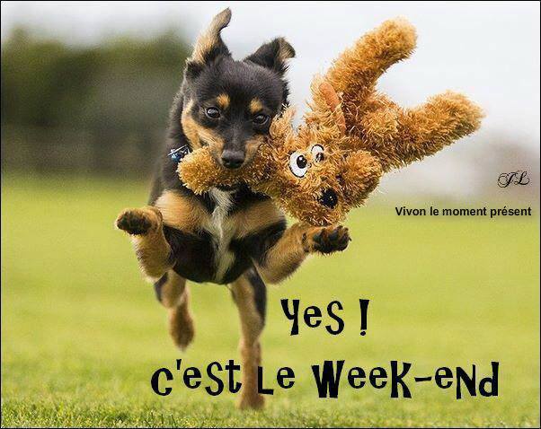 Yes ! C'est le week-end
