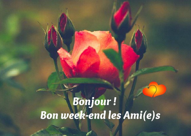 Bonjour ! Bon week-end les Ami(e)s