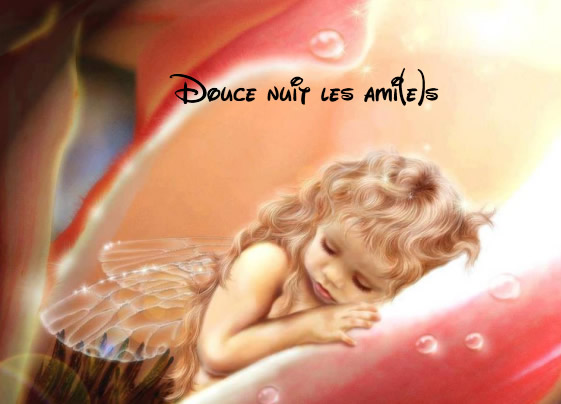 Douce nuit les ami(e)s