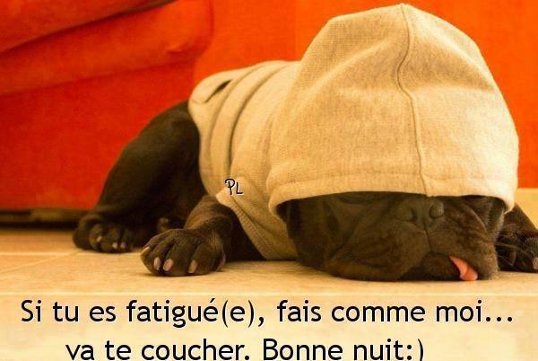 1000+ images about bonne nuit on Pinterest | Good night, Smileys and Good night sweet dreams