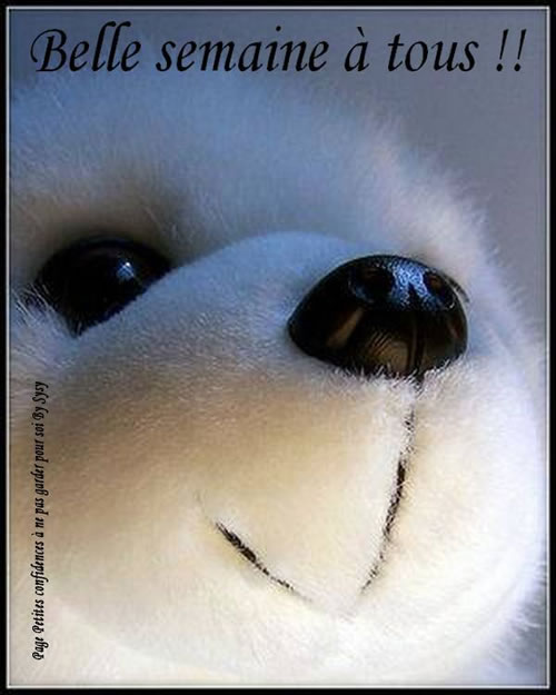 Belle semaine à tous!