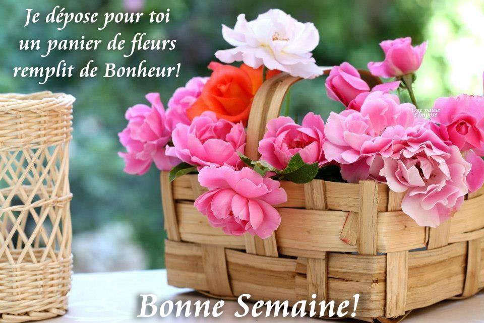 Je déposé pour toi un panier de fleurs remplit de Bonheur! Bonne Semaine!