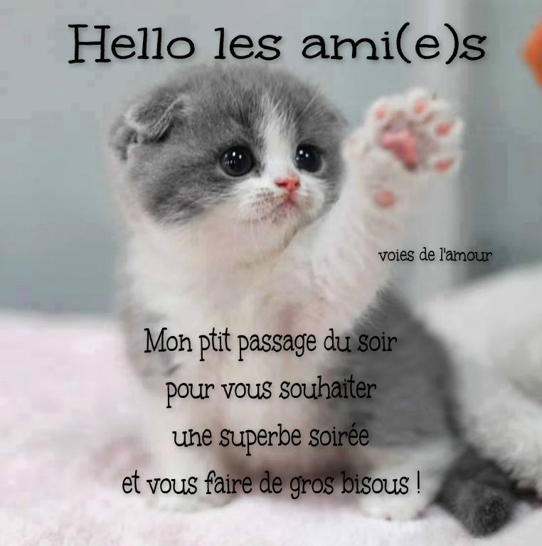 Hello les ami(e)s