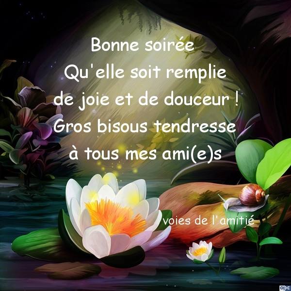 Image result for bonne soirée