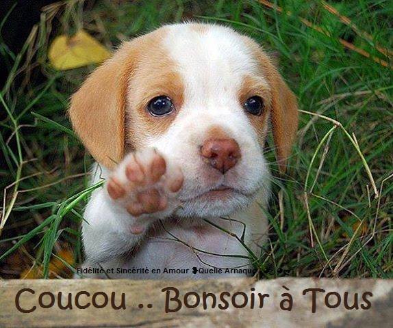 Coucou... Bonsoir à tous