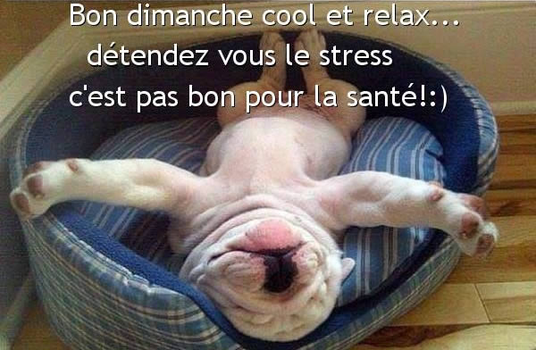 Bon dimanche cool et relax... détendez vous le stress c'est pas bon pour la santé!