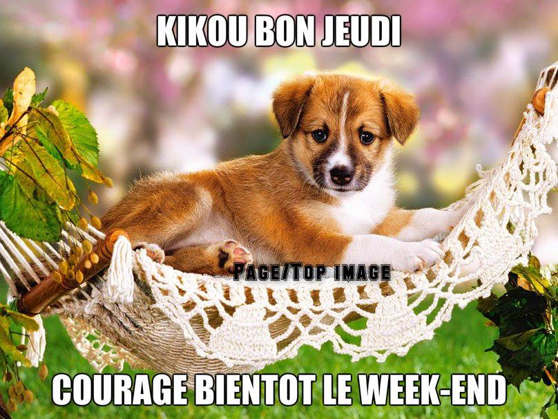 Kikou Bon Jeudi, courage bientôt le week-end