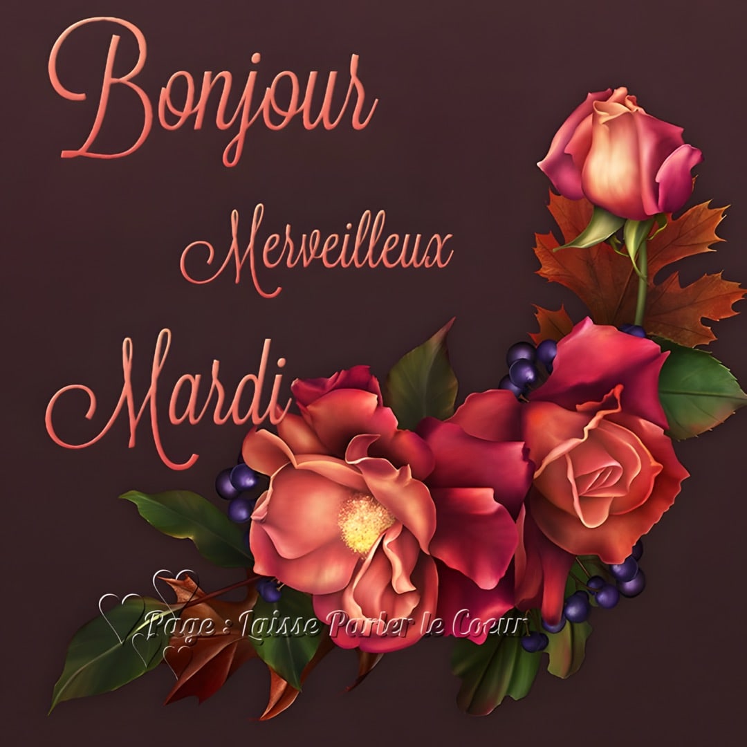 BIENVENUE DANS MON JARDIN SECRET