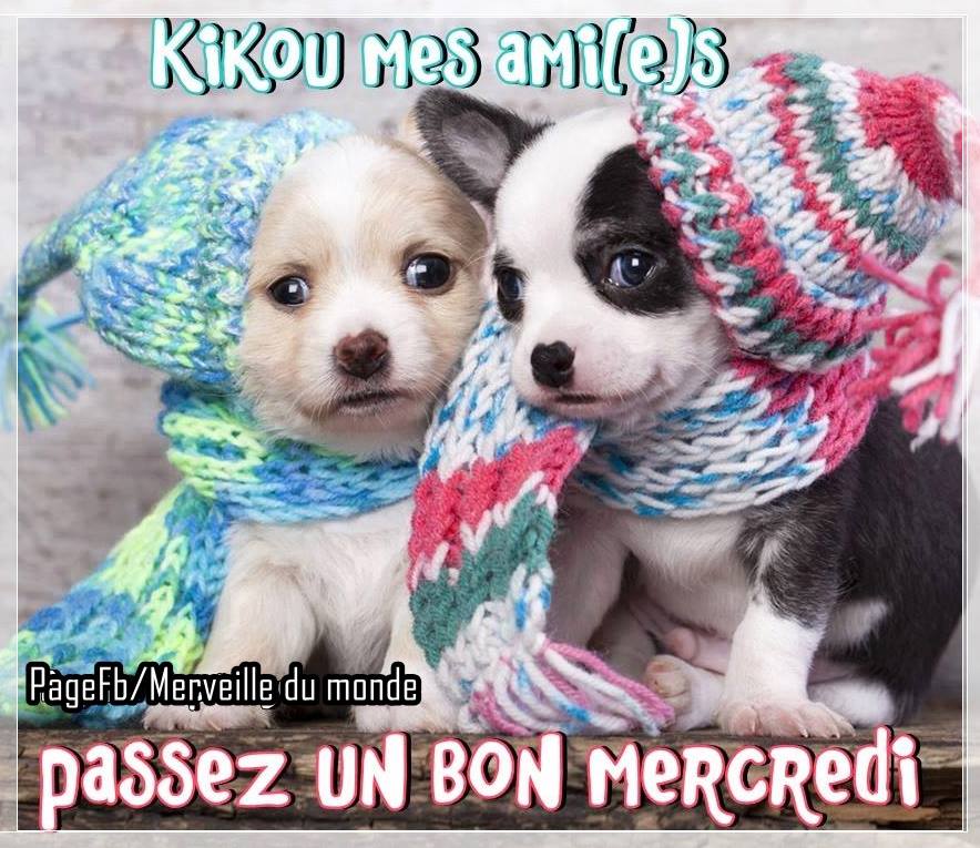 Kikou mes ami(e)s, passez un bon mercredi