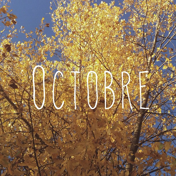 Bonjour Octobre Le Blog De Jef