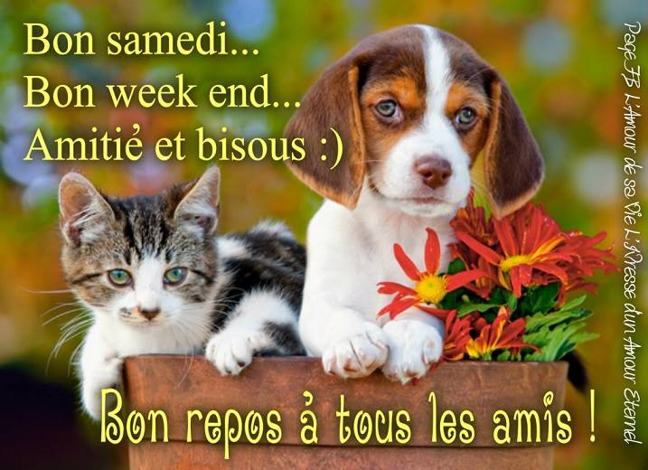 Bon samedi... Bon week end... Amitié et bisous :)