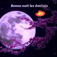 Bonne nuit les Ami(e)s