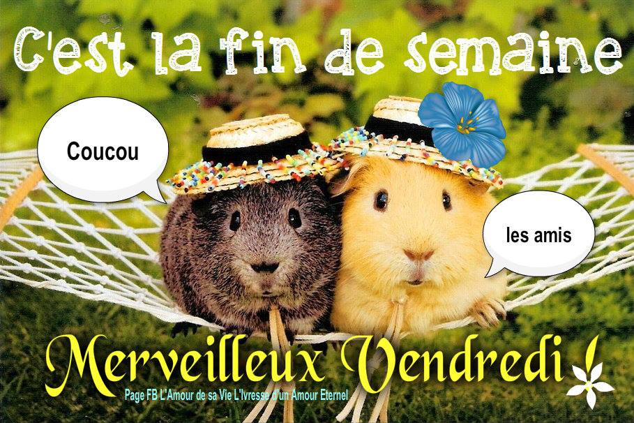  Bonjour Une Blague Humour Bon Vendredi 