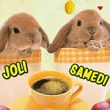 Samedi de Pâques Samedi de Pâques