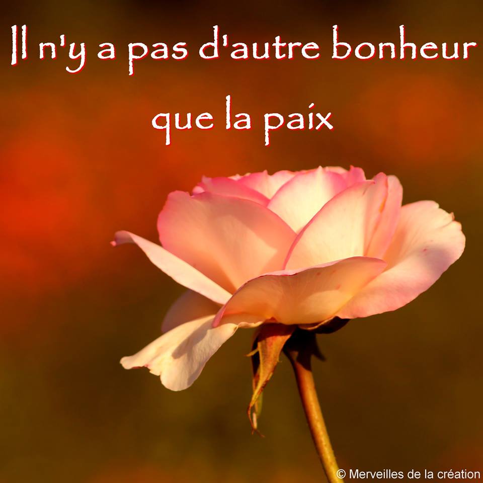 ᐅ 16 Bonheur Images Photos Et Illustrations Pour Facebook Bonnesimages