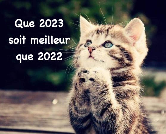 Que 2023 soit meilleur que 2022.