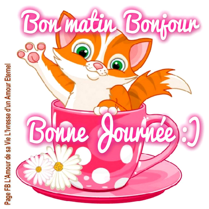 Bon Matin Bonjour Bonne Journ e Image 4910 BonnesImages