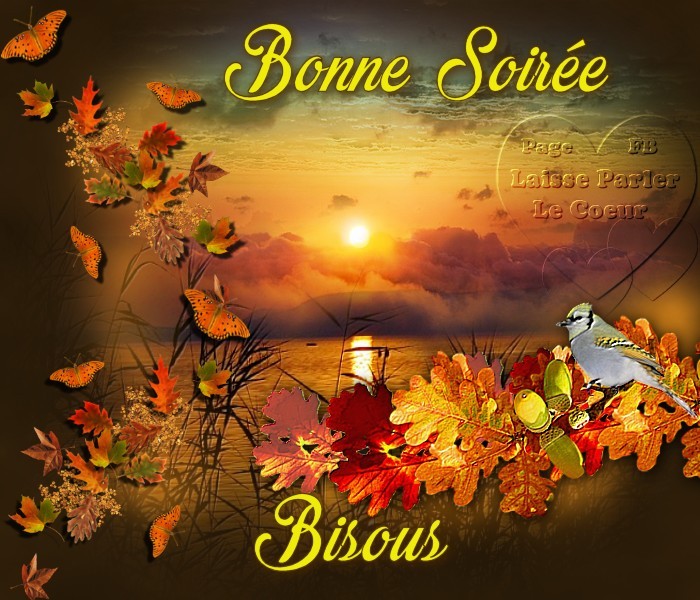 Bonne Soir e Images Photos Et Illustrations Pour Facebook Page 3 Bonne Soir e Images Photos Et Illustrations Pour Facebook Page 3