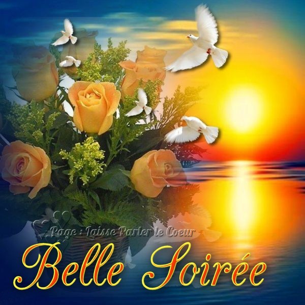 120 Bonne Soir e Images Photos Et Illustrations Pour Whatsapp Bonnes 120 Bonne Soir e Images Photos Et Illustrations Pour Whatsapp Bonnes