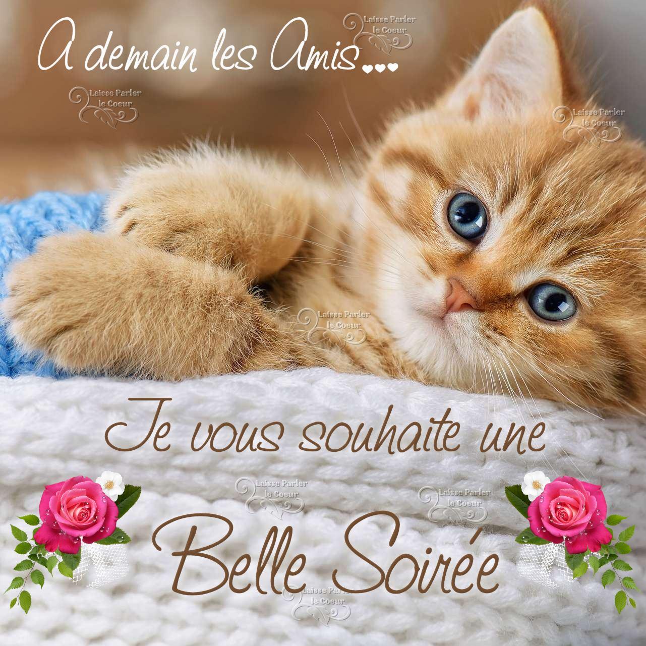 120 Bonne Soir e Images Photos Et Illustrations Pour Whatsapp Bonnes 120 Bonne Soir e Images Photos Et Illustrations Pour Whatsapp Bonnes