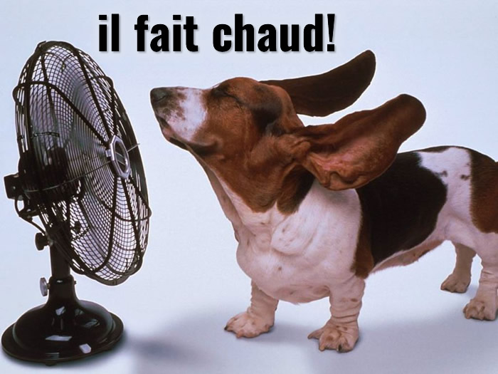 il fait chaud!