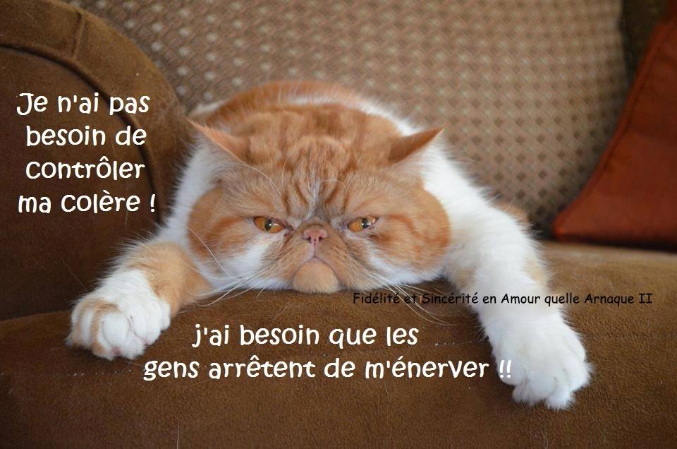 Citations Dr les Sur La Col re Citations Dr les Sur La Col re