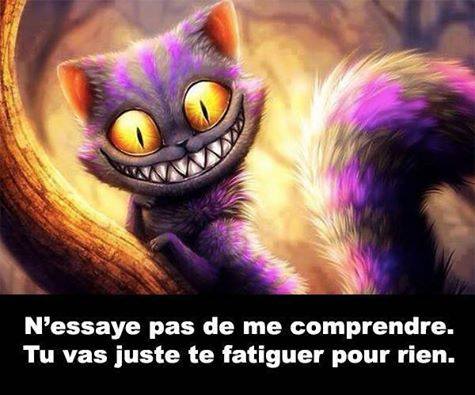 14 Citations Marrantes Images Photos Et Illustrations Pour Whatsapp 14 Citations Marrantes Images Photos Et Illustrations Pour Whatsapp