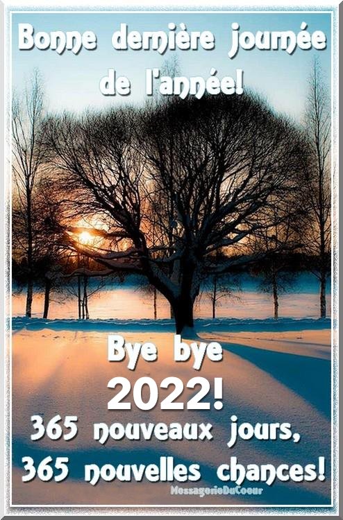 Bonne dernière journée de l'année ! Bye bye 2022! 365...