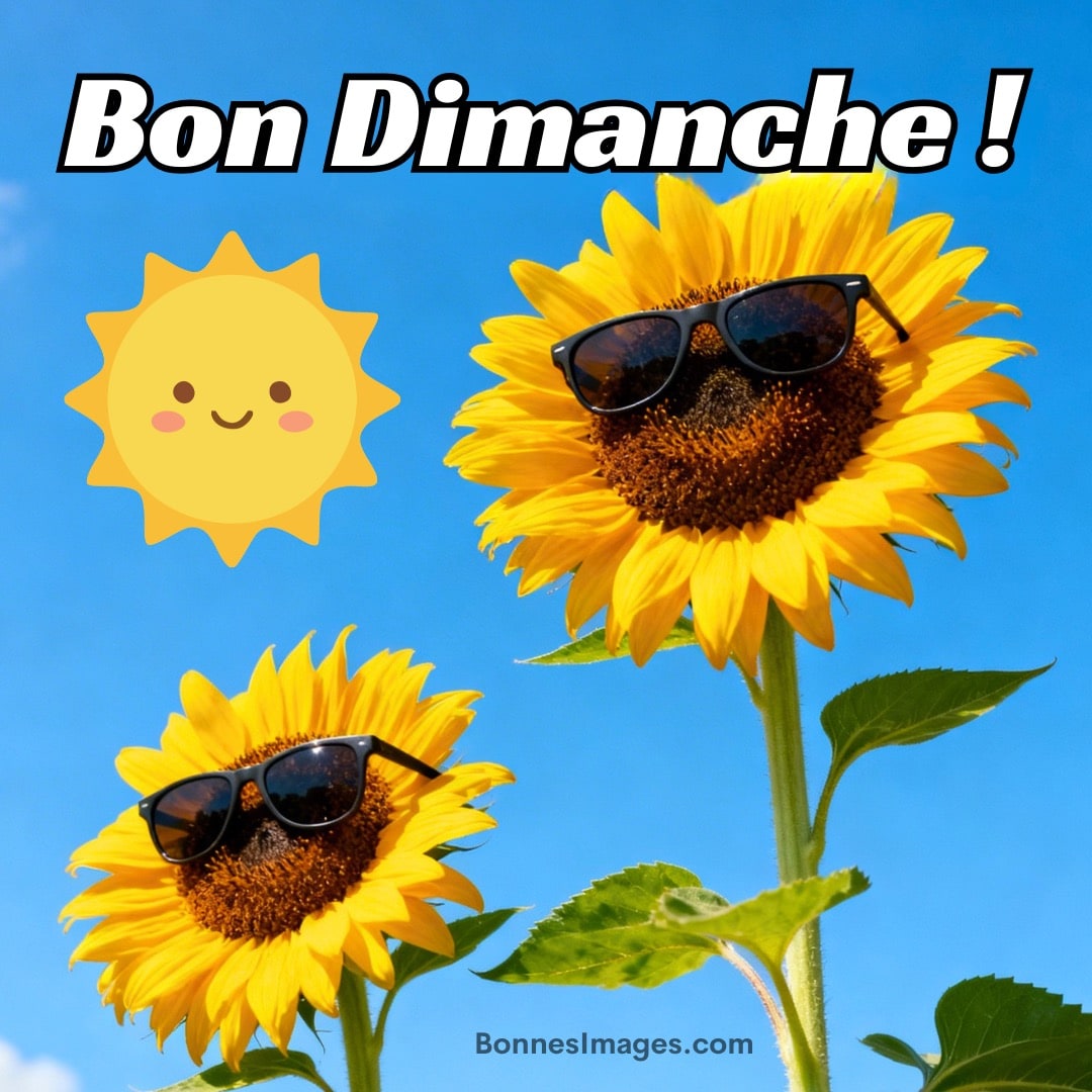 Deux tournesols avec des lunettes de soleil sous un ciel bleu, texte « Bon Dimanche ! » et un soleil souriant