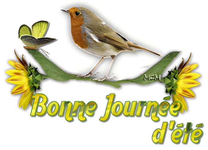 Un rouge-gorge et un papillon, symboles charmants d'une journée estivale radieuse.