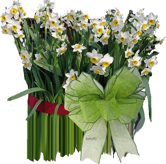 Bouquet de narcisses
