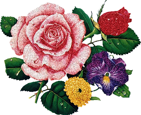 Bouquet de roses qui scintillent