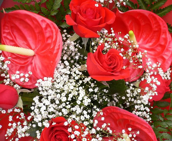 Anthurium et roses rouges