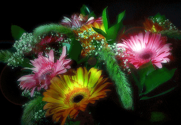Bouquet qui scintille