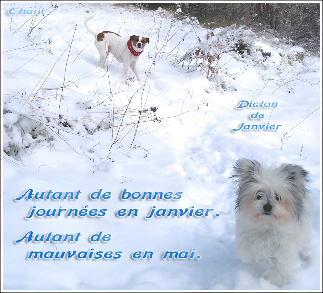 Bienvenue Janvier Images Photos Et Illustrations Pour Whatsapp Bienvenue Janvier Images Photos Et Illustrations Pour Whatsapp