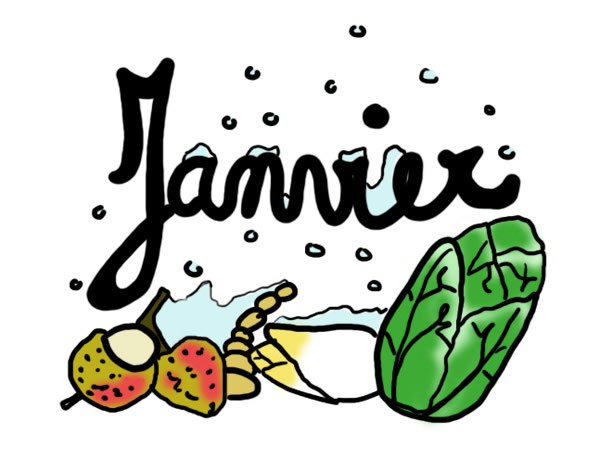 illustration janvier 