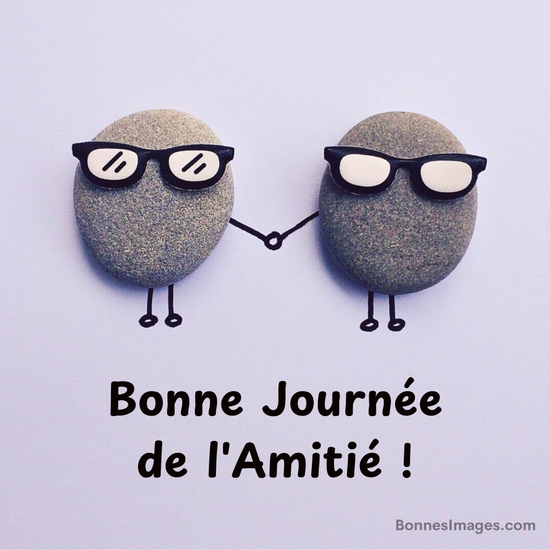 Deux galets avec lunettes se tiennent la main, texte 'Bonne Journée de l'Amitié !' en dessous