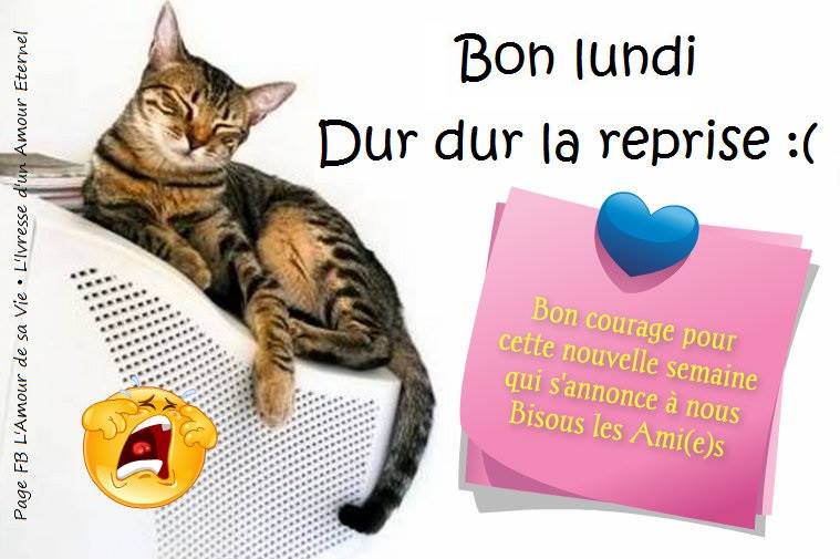 ᐅ Lundi Images Photos Et Illustrations Pour Facebook Page 10 Bonnesimages