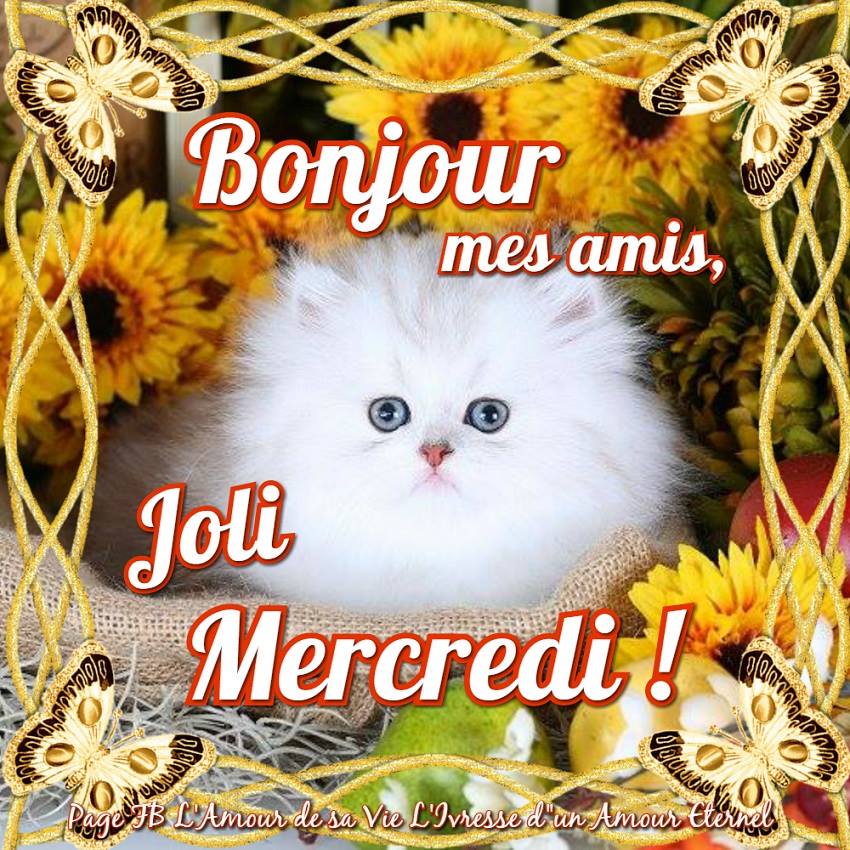 Bonjour mes amis, Joli Mercredi !