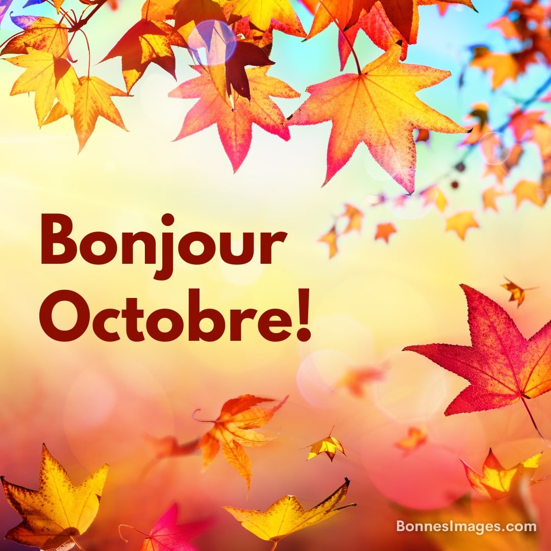 Feuilles d’automne colorées sur fond lumineux, avec le texte « Bonjour Octobre ! »
