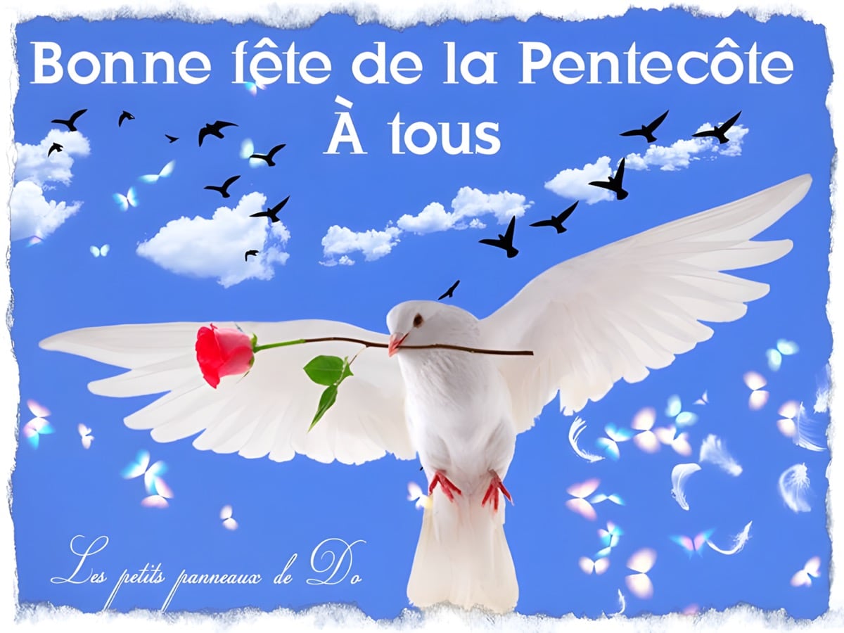 Colombe blanche avec une rose rouge, sous un ciel bleu parsemé de papillons et oiseaux