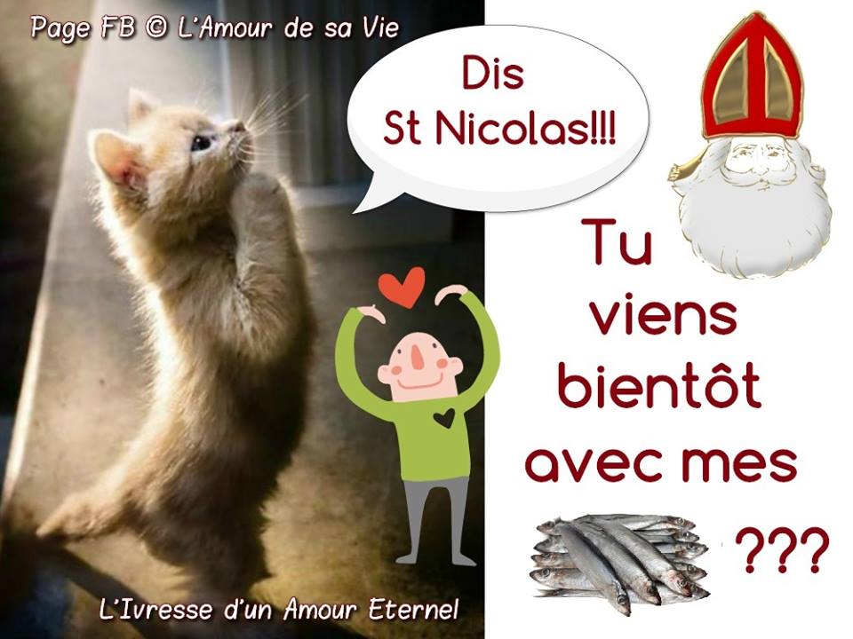 ᐅ 7 Saint Nicolas Images Photos Et Illustrations Pour Facebook Bonnesimages