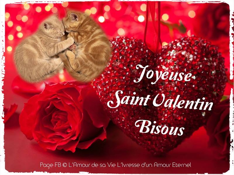 Joyeuse Saint Valentin, Bisous