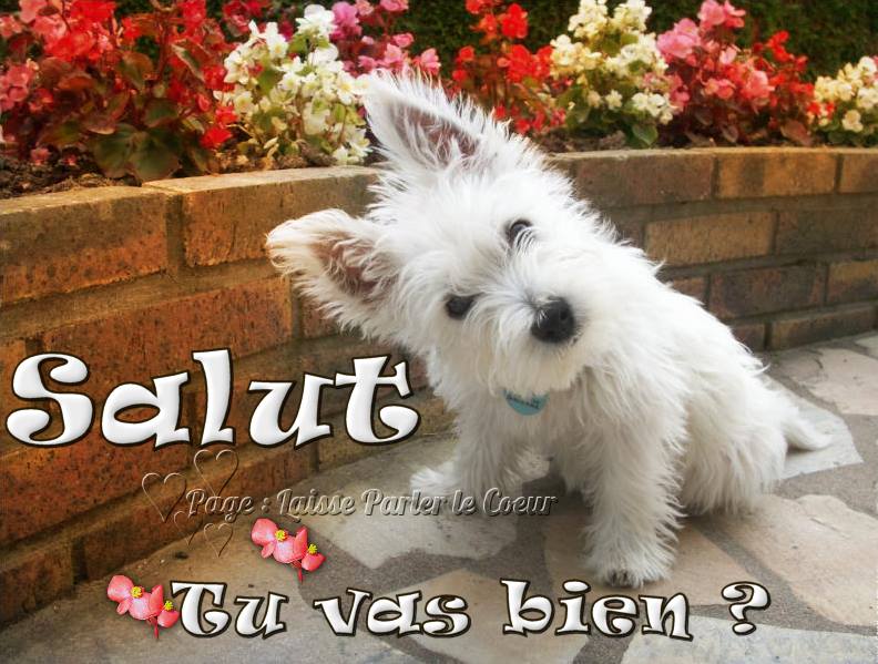 Un adorable chiot blanc vous salue dans un jardin fleuri. Sa curiosité éveille un sourire chez tous ceux qui croisent son regard.