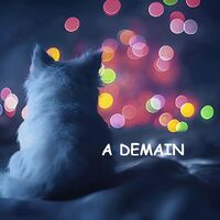 Un chat contemple un monde de lumières colorées, rêvant à la beauté de la nuit.