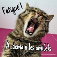 Fatigué ! À demai...