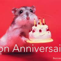 Un hamster mignon offre un gâteau d'anniversaire avec trois bougies allumées.