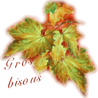 Feuilles d'automne scintillantes, symboles de chaleur et d'affection.